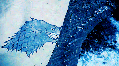 tumblr_o9c1xwXVfU1vywfd3o1_500