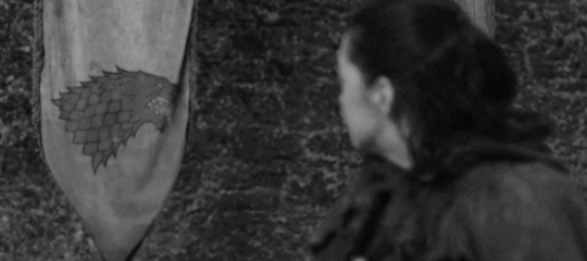 tumblr_ouapk6MUL61rer192o3_540