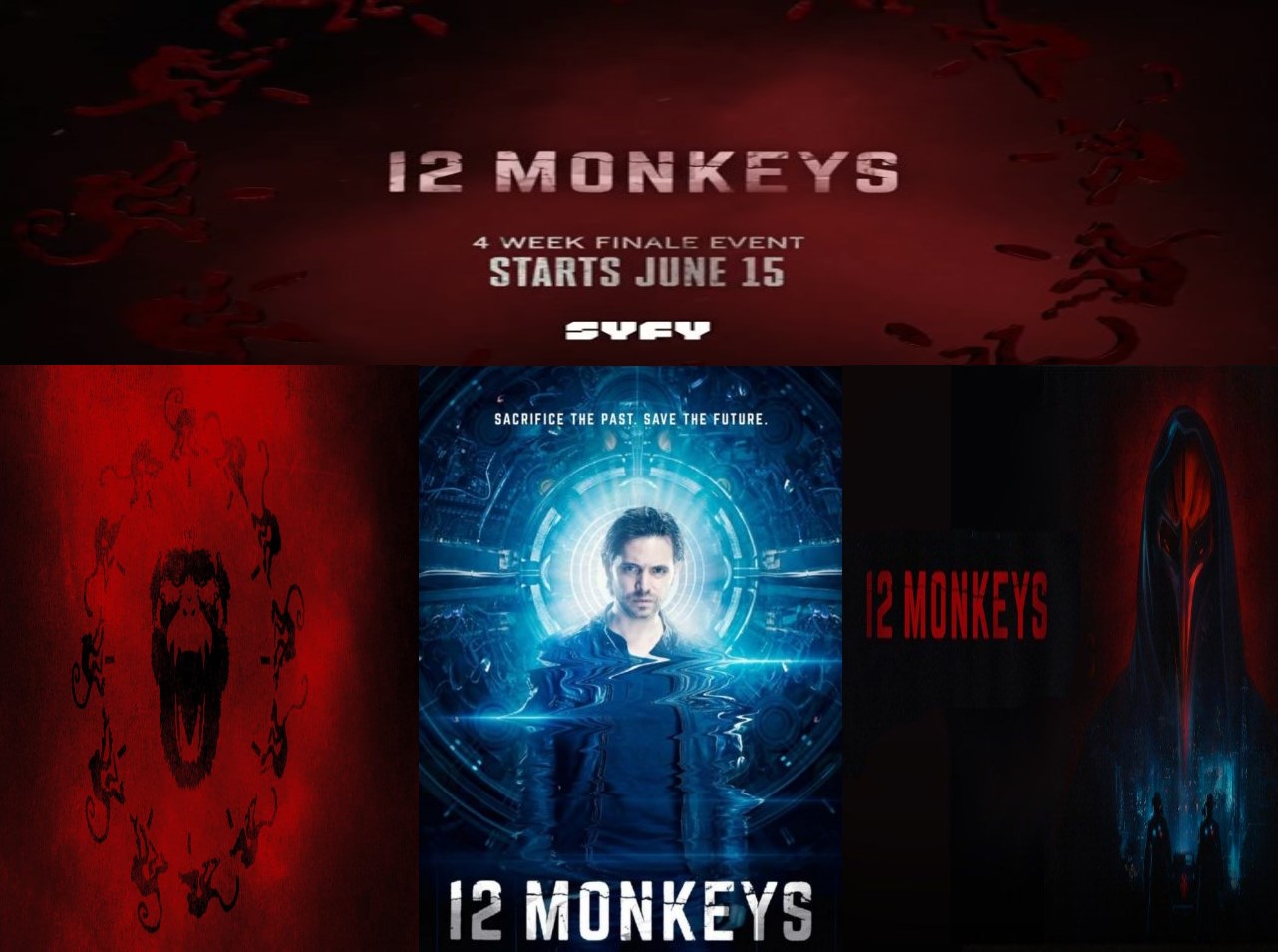 image_12_monkeys.jpg
