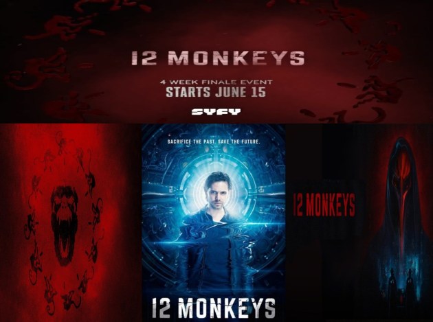 image_12_monkeys.jpg