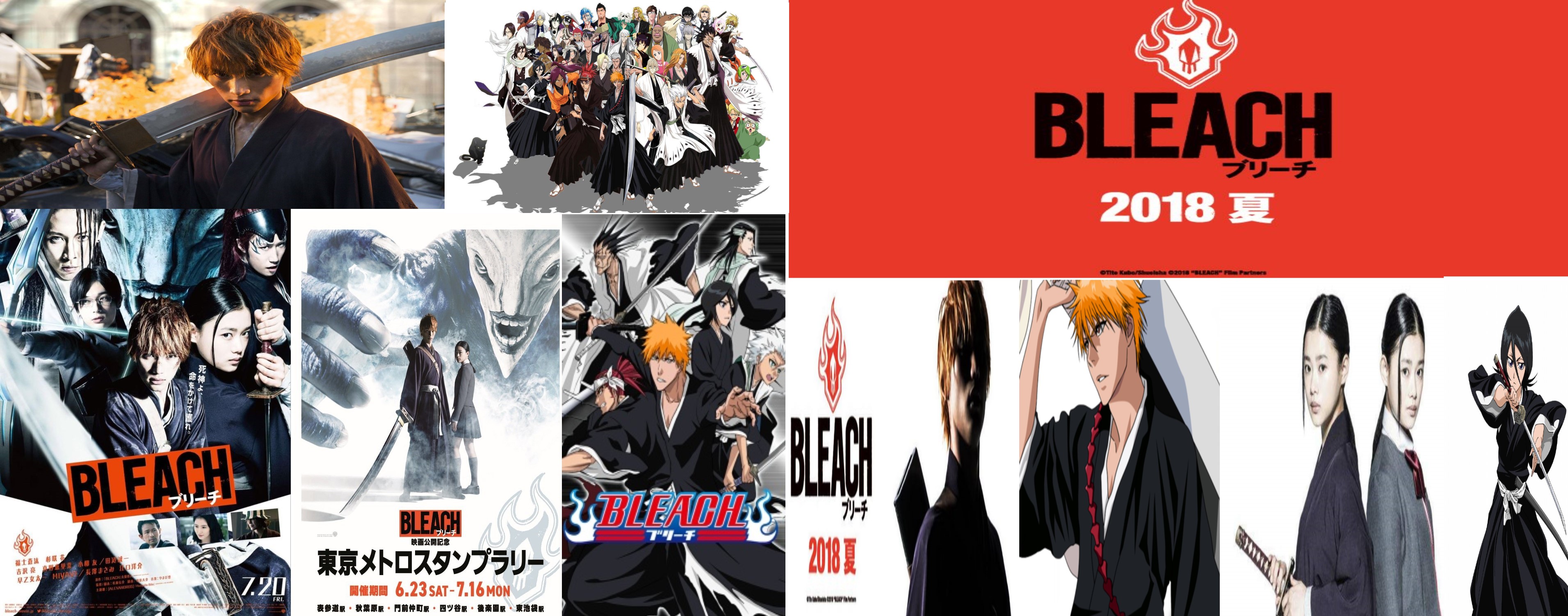 Image_bleach1.jpg