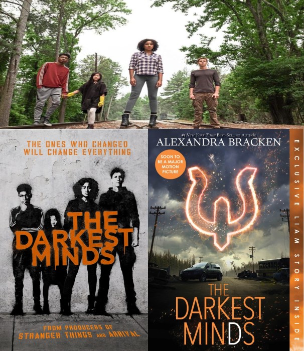 image_darkest minds.jpg